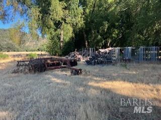 11727 Elk Mountain Road Upper Lake, CA 95485 - Photo 60 of 60 a view of backyard with furniture and outdoor space