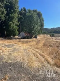 a view of a yard with a house
