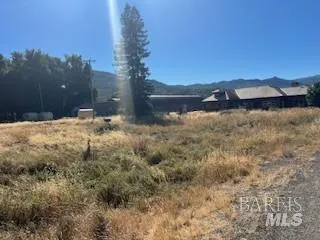 a backyard of a house with large trees