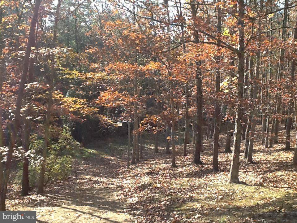 152 Indian Lake Road Winchester, VA 22603 - Photo 6 of 26 View