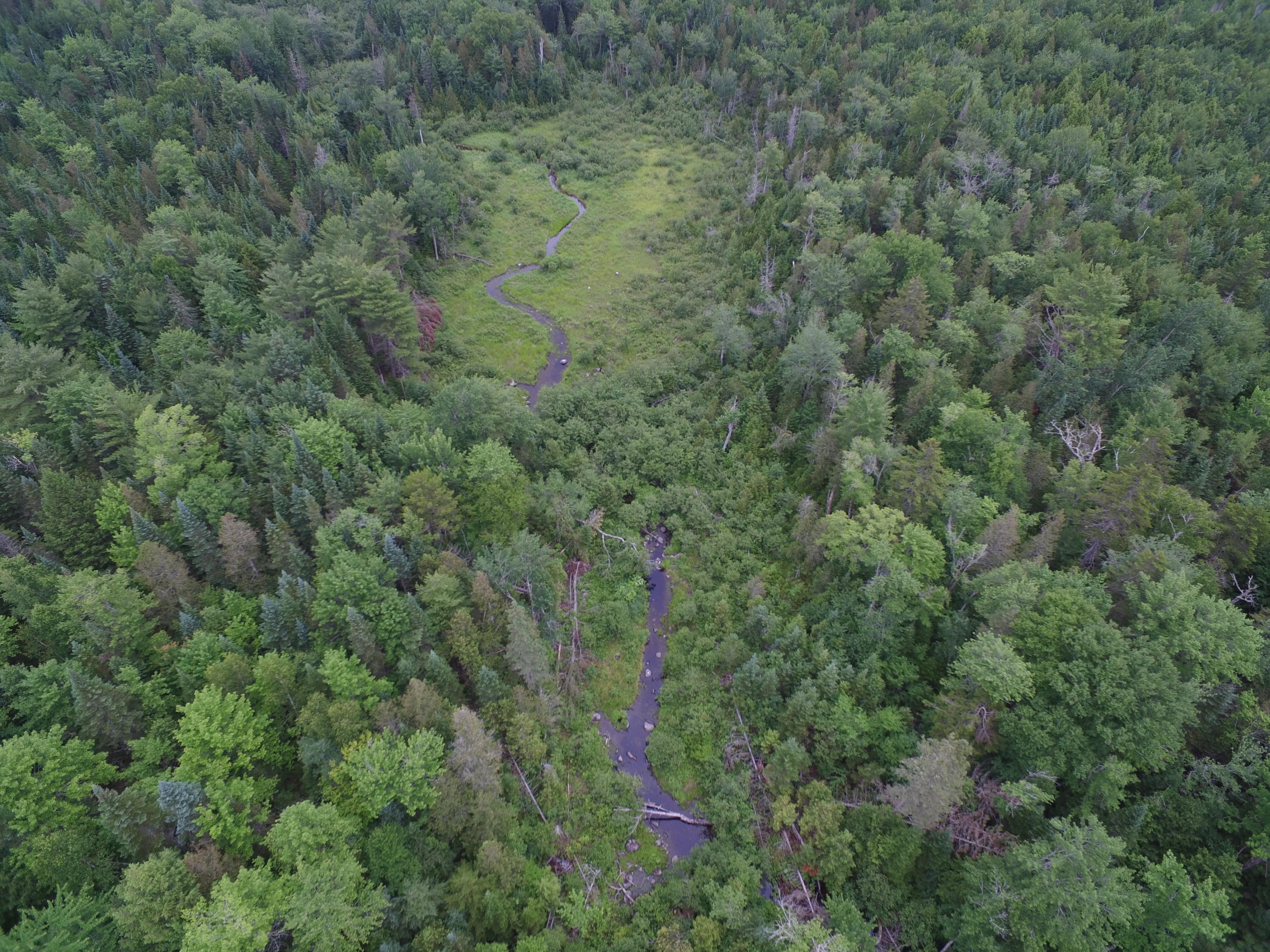 31 Cold Stream Estates Road Lincoln, ME 04457 - Photo 20 of 25 DJI_0133
