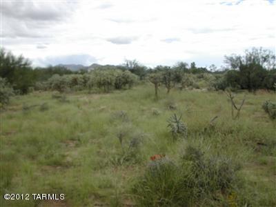 11801 South Wells Fargo Road, Unit 1 Tucson, AZ 85736 - Photo 5 of 5