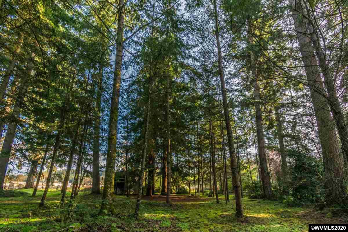 37970 Fir Ridge Road Scio, OR 97374 - Photo 6 of 39 Gallery Image 6