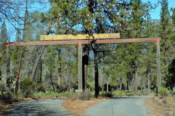 a view of a park that has large trees