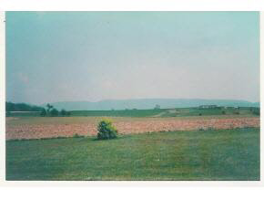 599 Old White Bridge Road Waynesboro, VA 22980 - Photo 3 of 3 a view of a lake and a yard