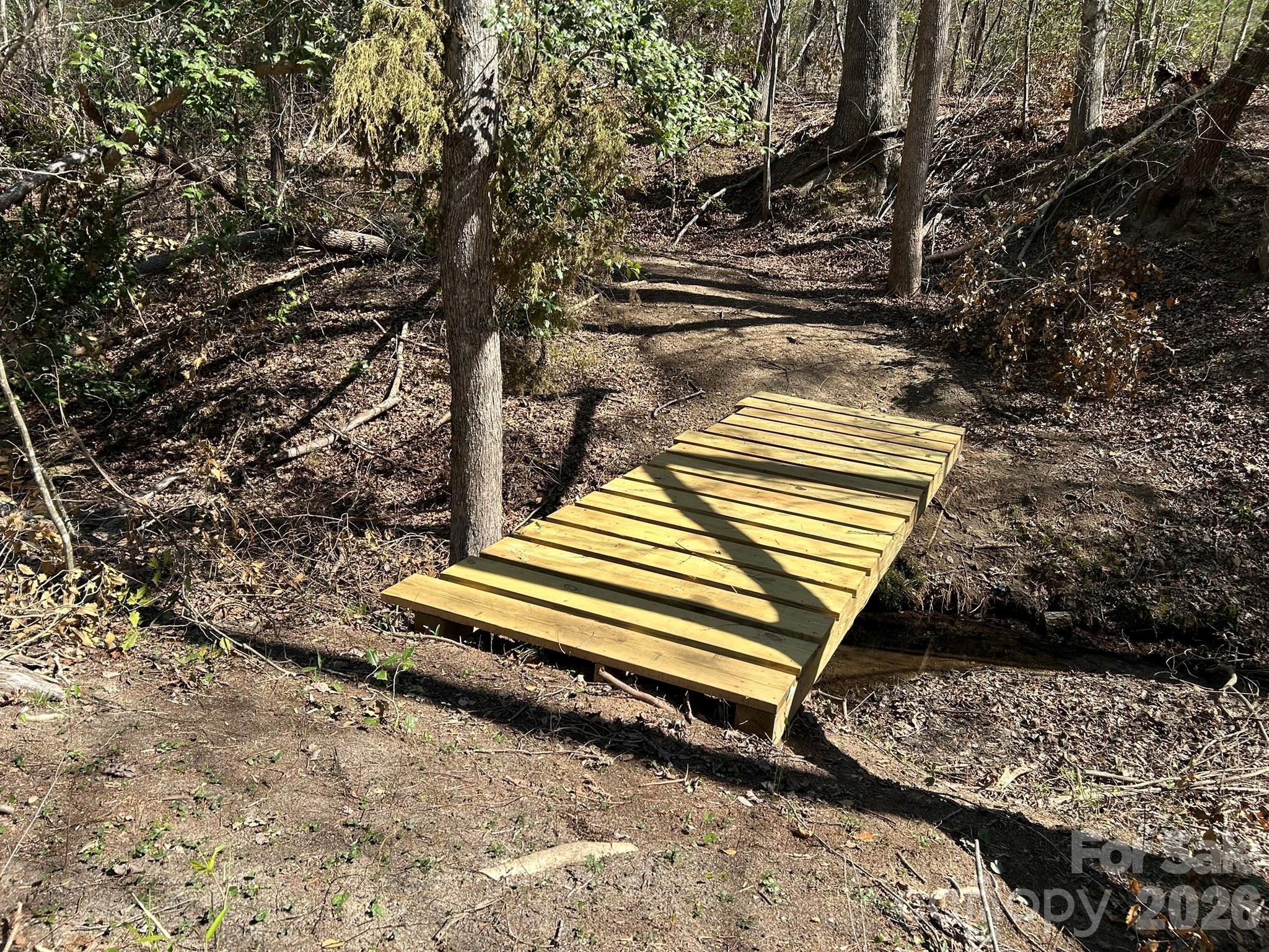 0 Island Ford Road Mooresboro, NC 28114 - Photo 11 of 32