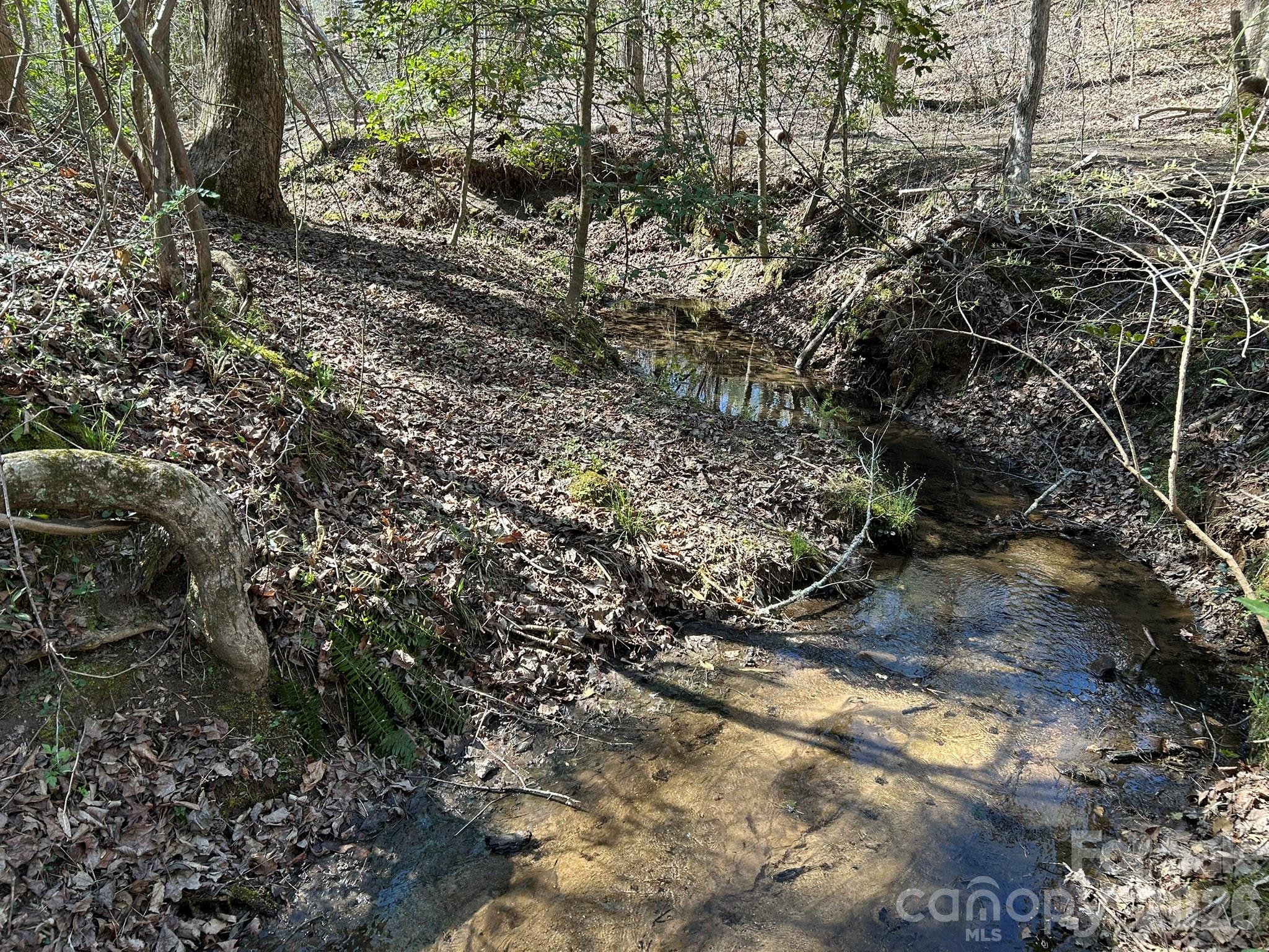 0 Island Ford Road Mooresboro, NC 28114 - Photo 12 of 32