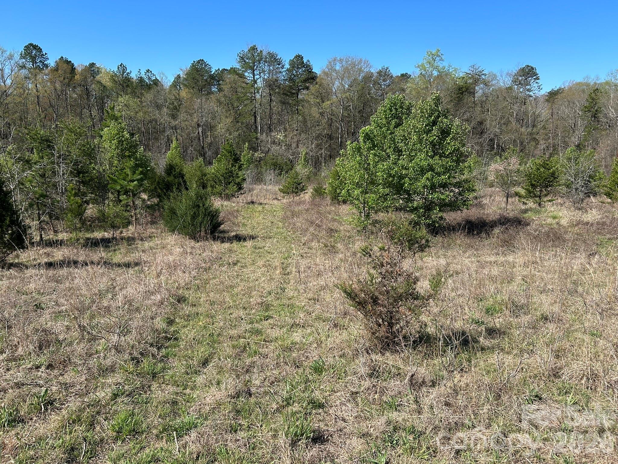 0 Island Ford Road Mooresboro, NC 28114 - Photo 13 of 32