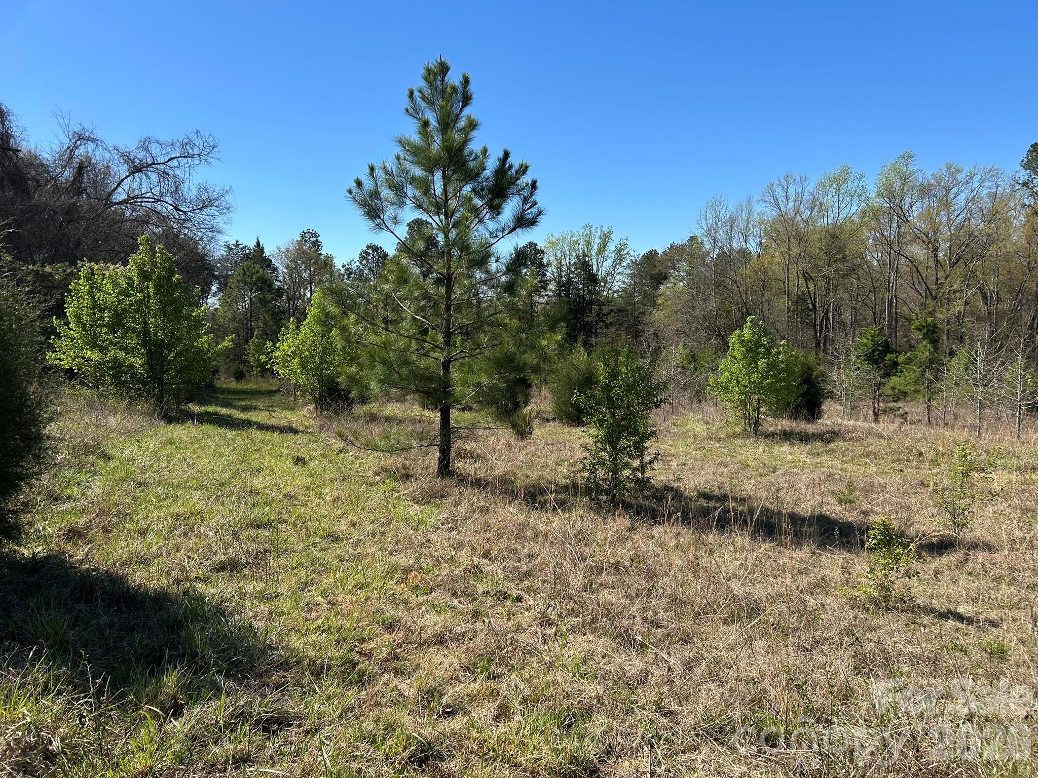 0 Island Ford Road Mooresboro, NC 28114 - Photo 14 of 32