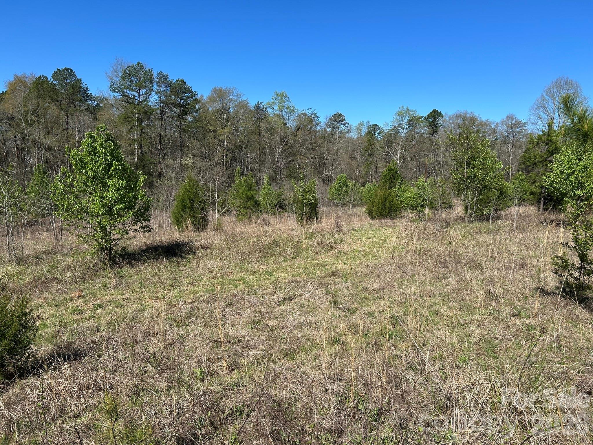 0 Island Ford Road Mooresboro, NC 28114 - Photo 15 of 32