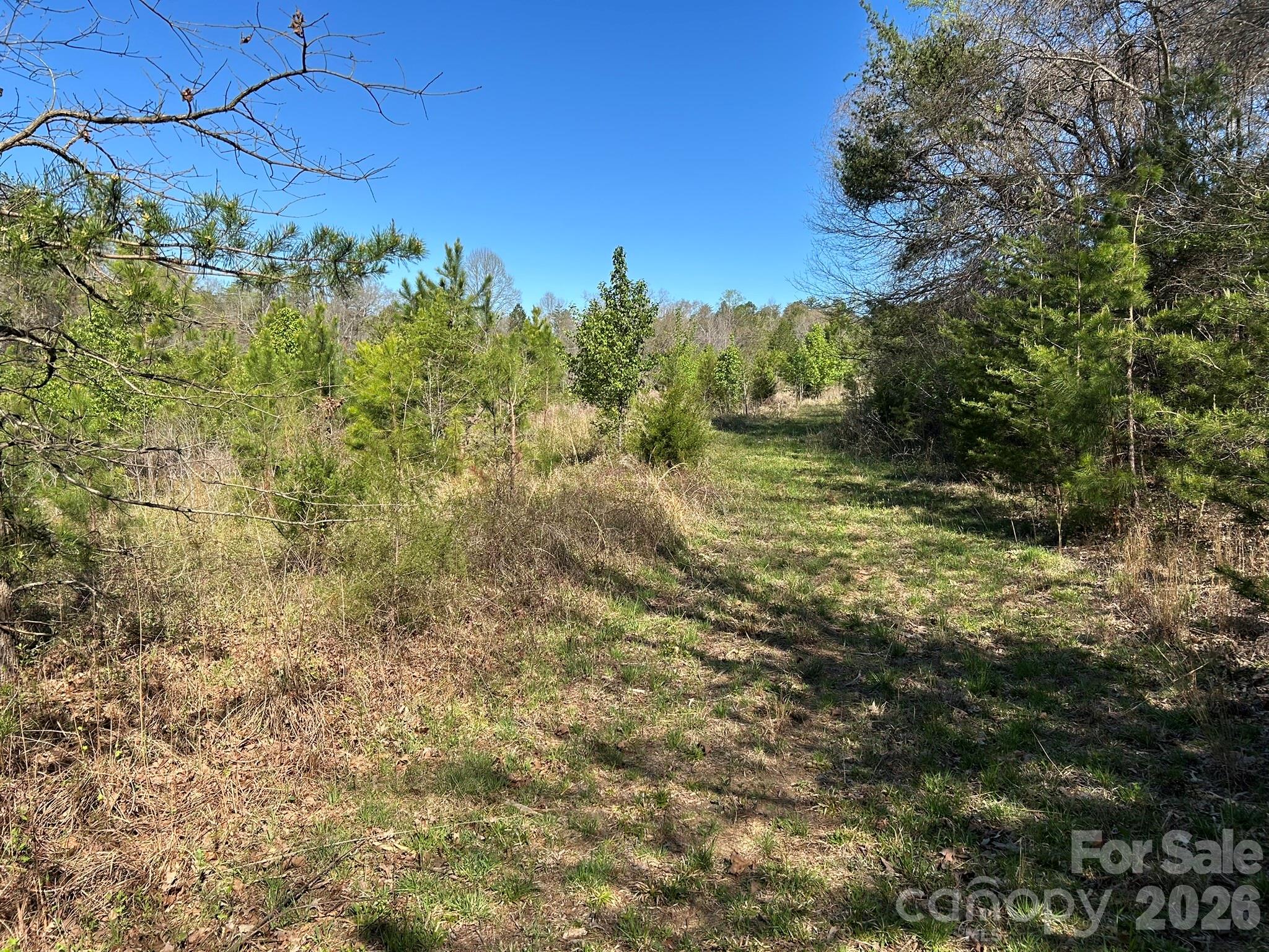 0 Island Ford Road Mooresboro, NC 28114 - Photo 16 of 32