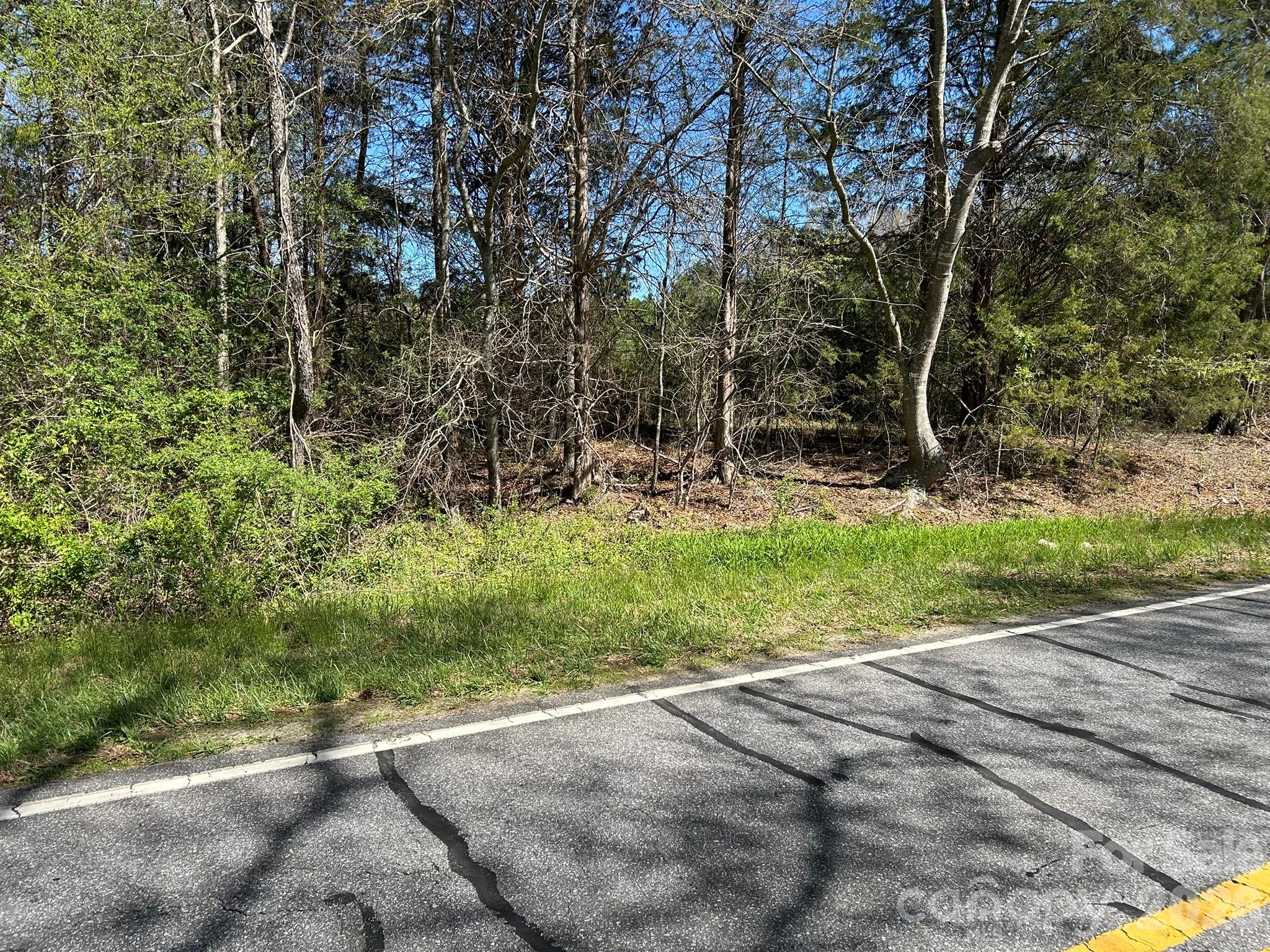 0 Island Ford Road Mooresboro, NC 28114 - Photo 18 of 32