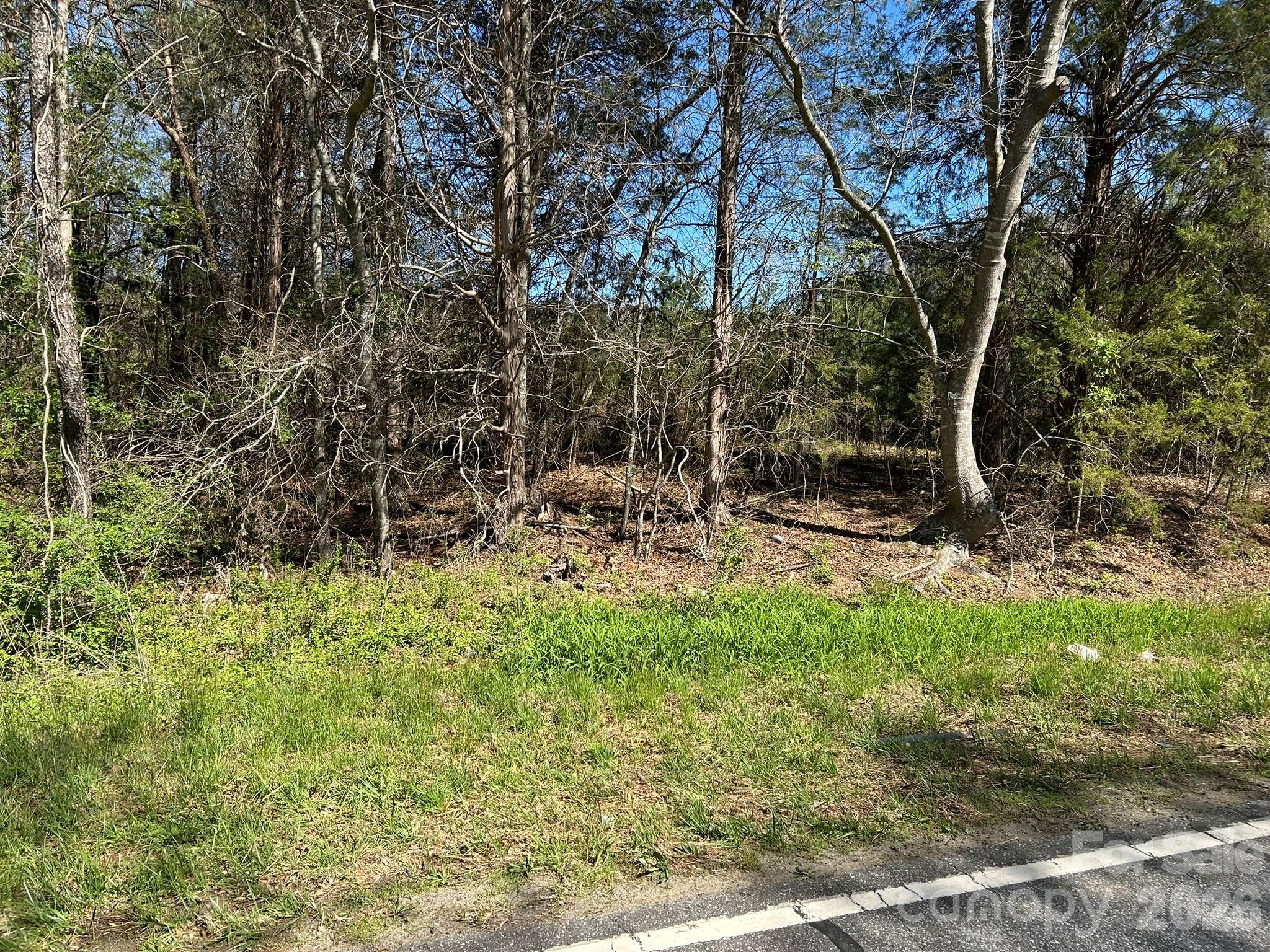 0 Island Ford Road Mooresboro, NC 28114 - Photo 19 of 32