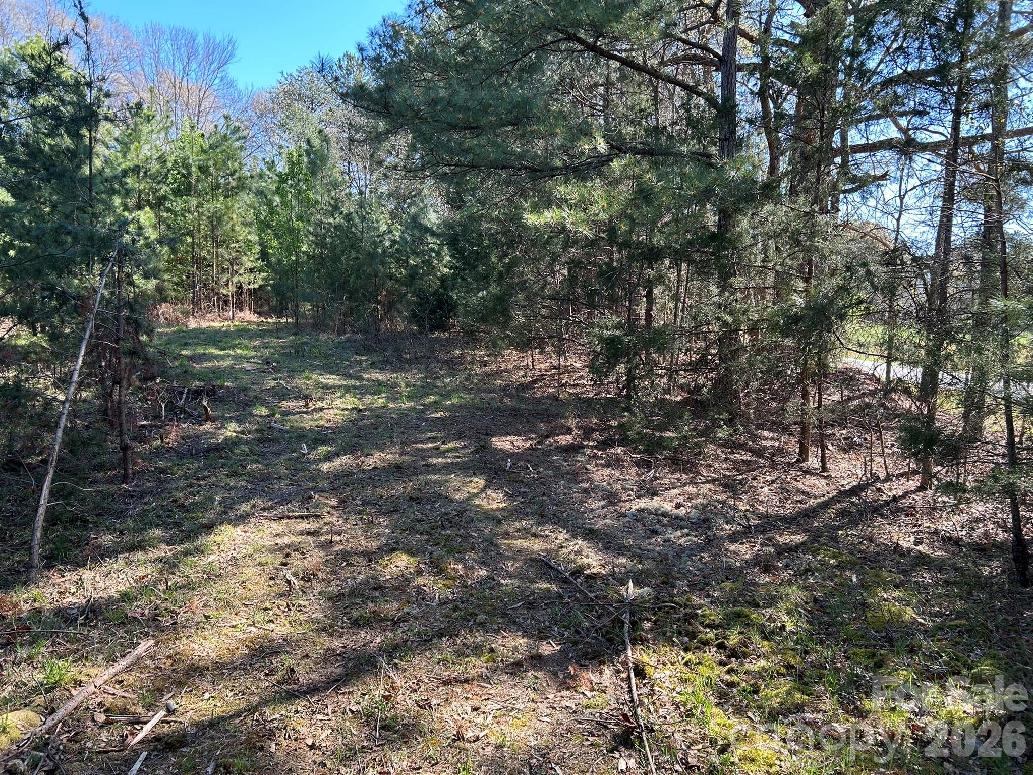 0 Island Ford Road Mooresboro, NC 28114 - Photo 20 of 32