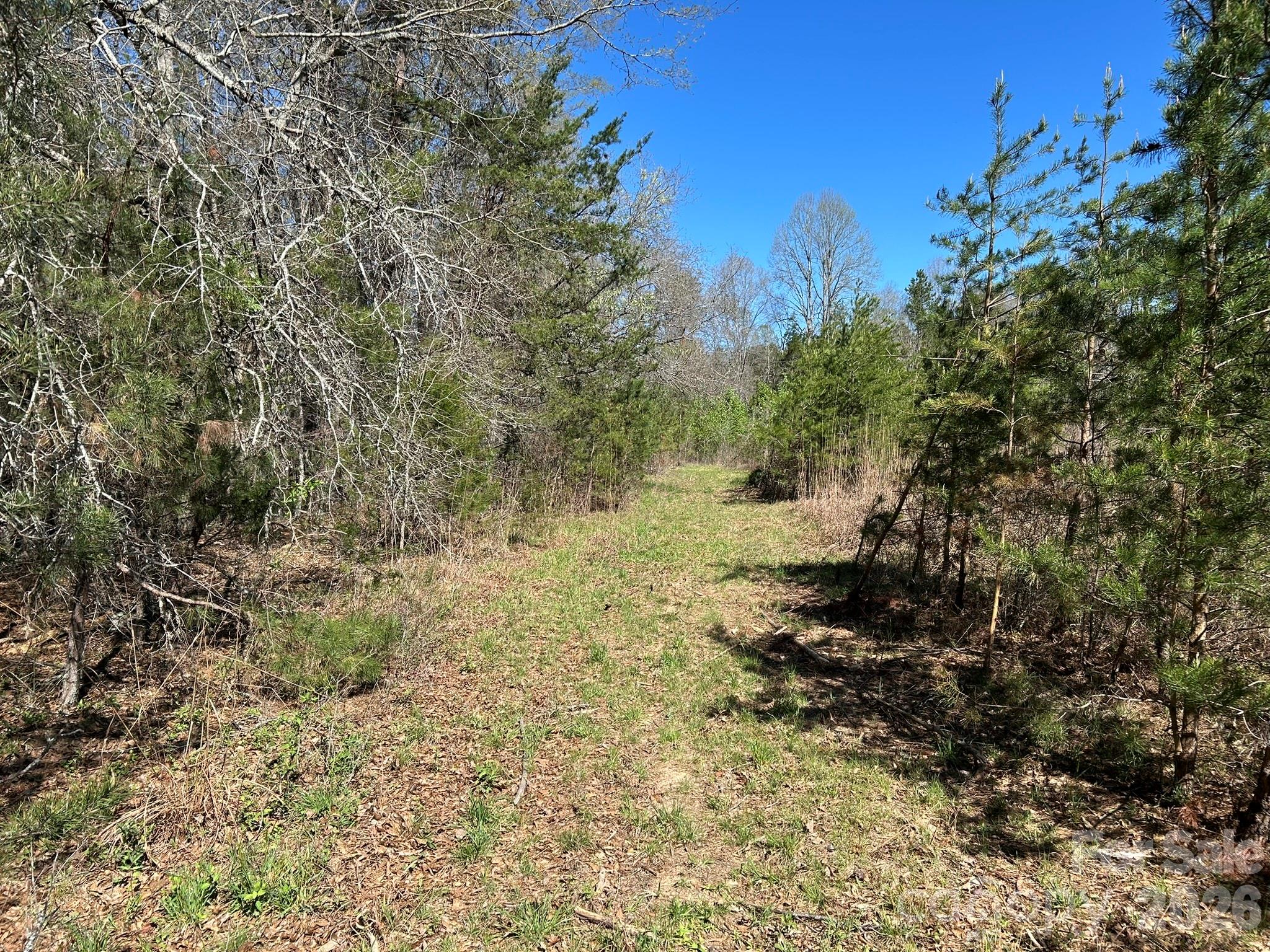 0 Island Ford Road Mooresboro, NC 28114 - Photo 21 of 32