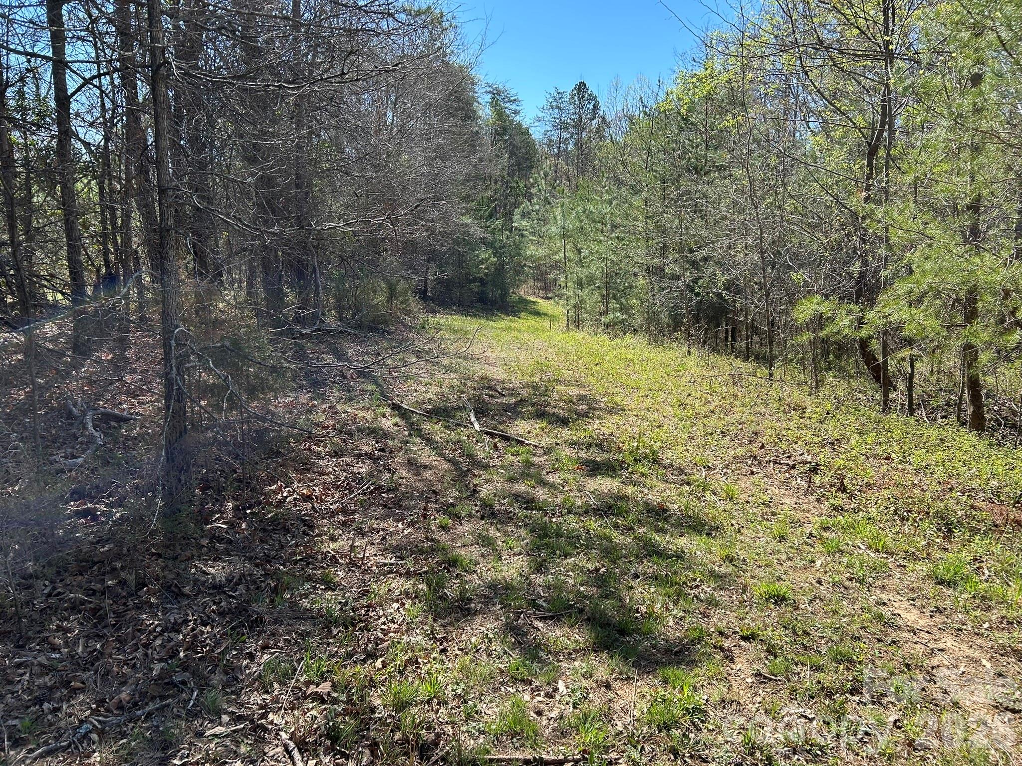 0 Island Ford Road Mooresboro, NC 28114 - Photo 22 of 32