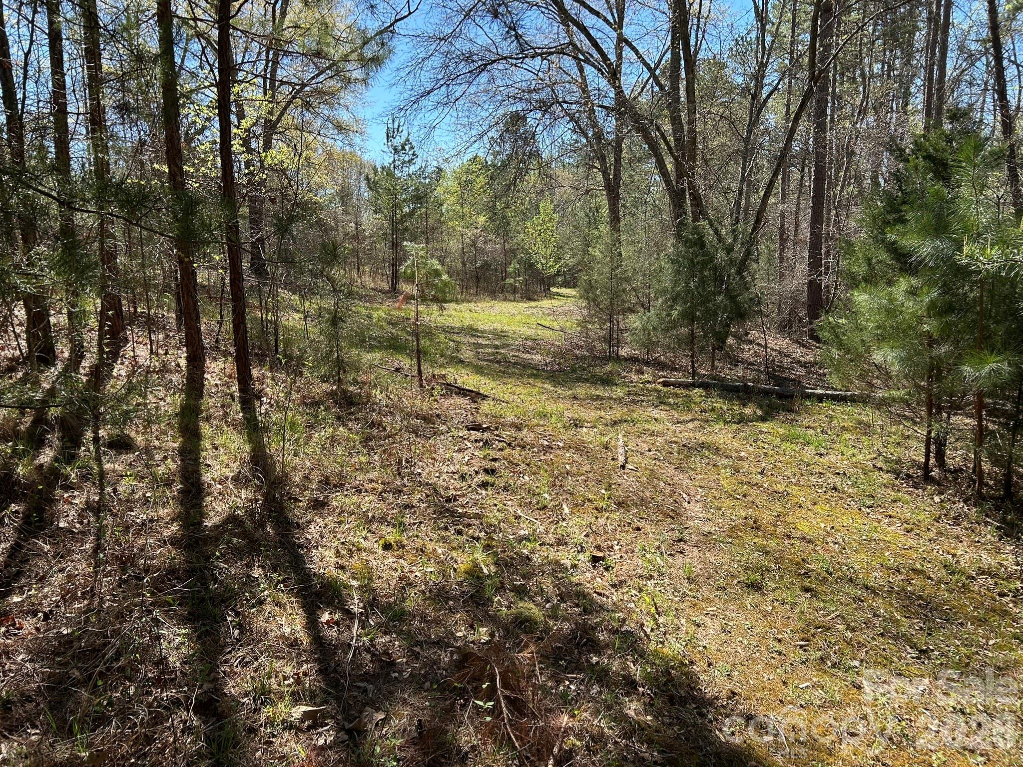 0 Island Ford Road Mooresboro, NC 28114 - Photo 23 of 32