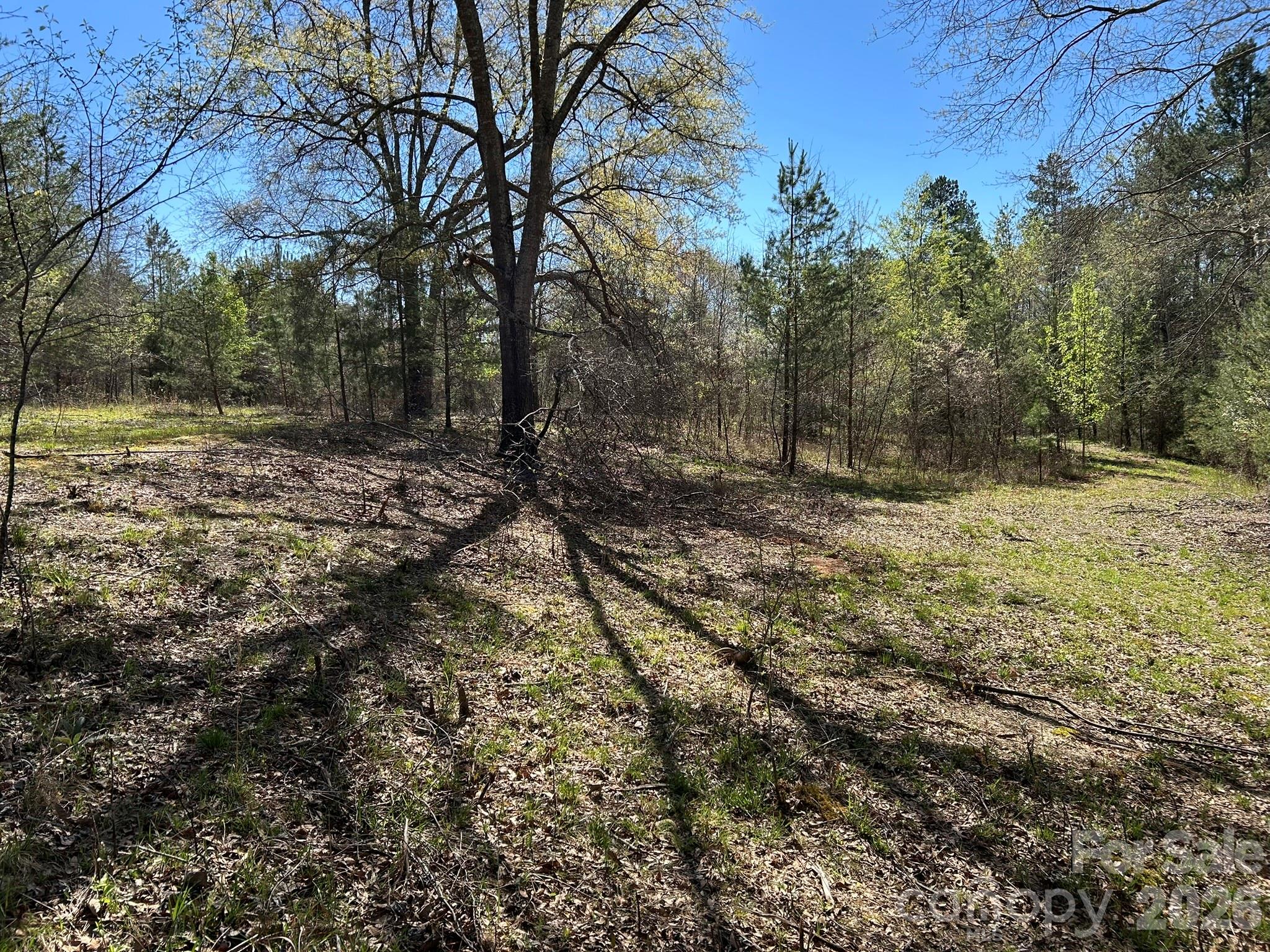 0 Island Ford Road Mooresboro, NC 28114 - Photo 24 of 32