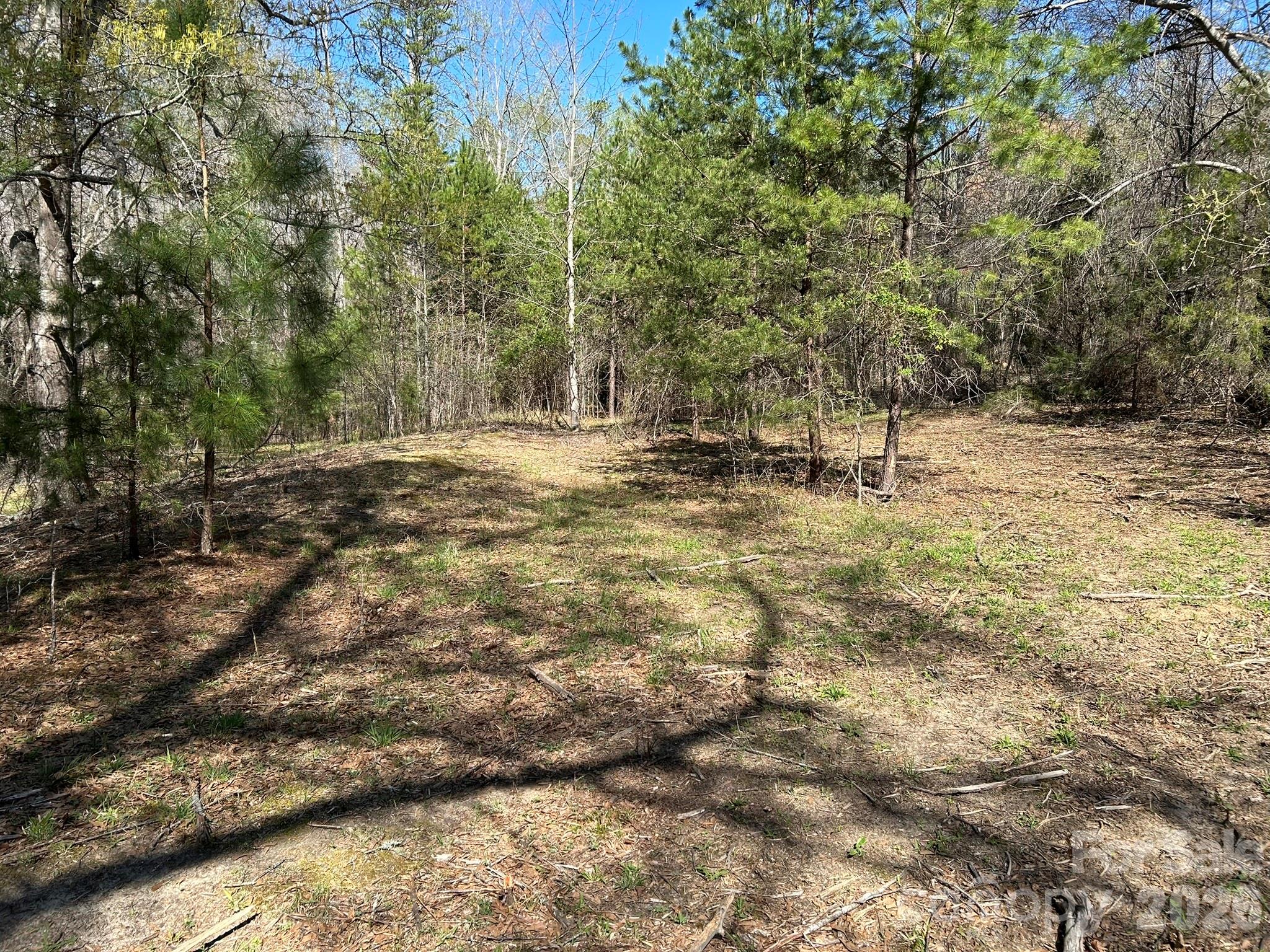 0 Island Ford Road Mooresboro, NC 28114 - Photo 25 of 32