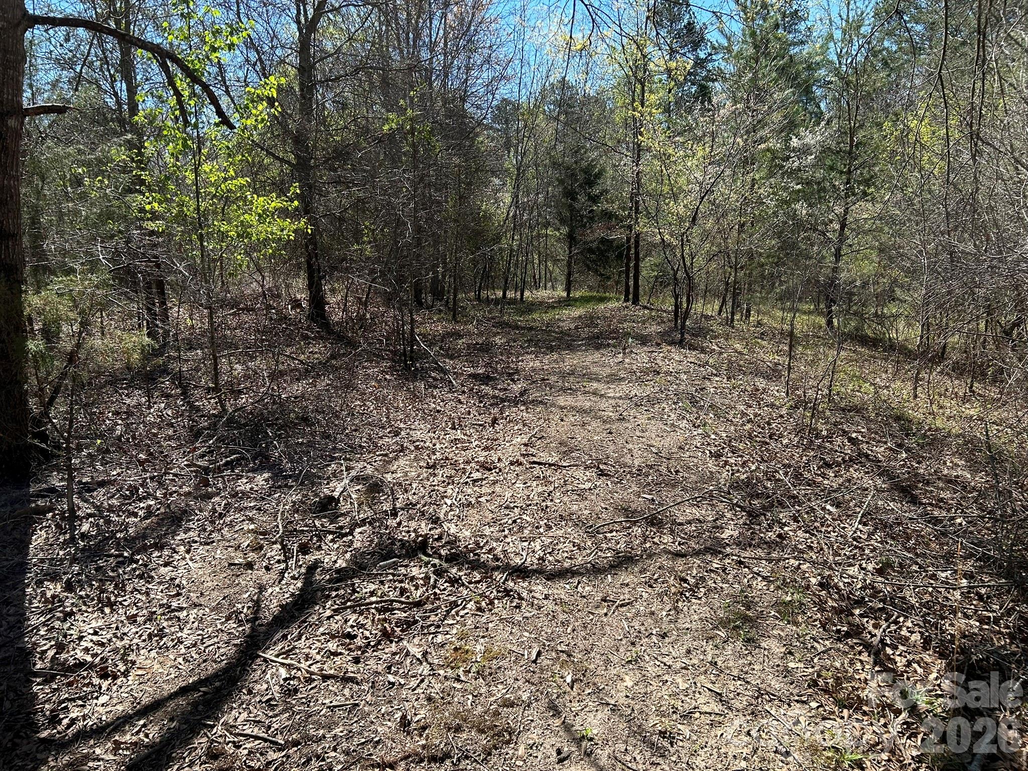 0 Island Ford Road Mooresboro, NC 28114 - Photo 26 of 32