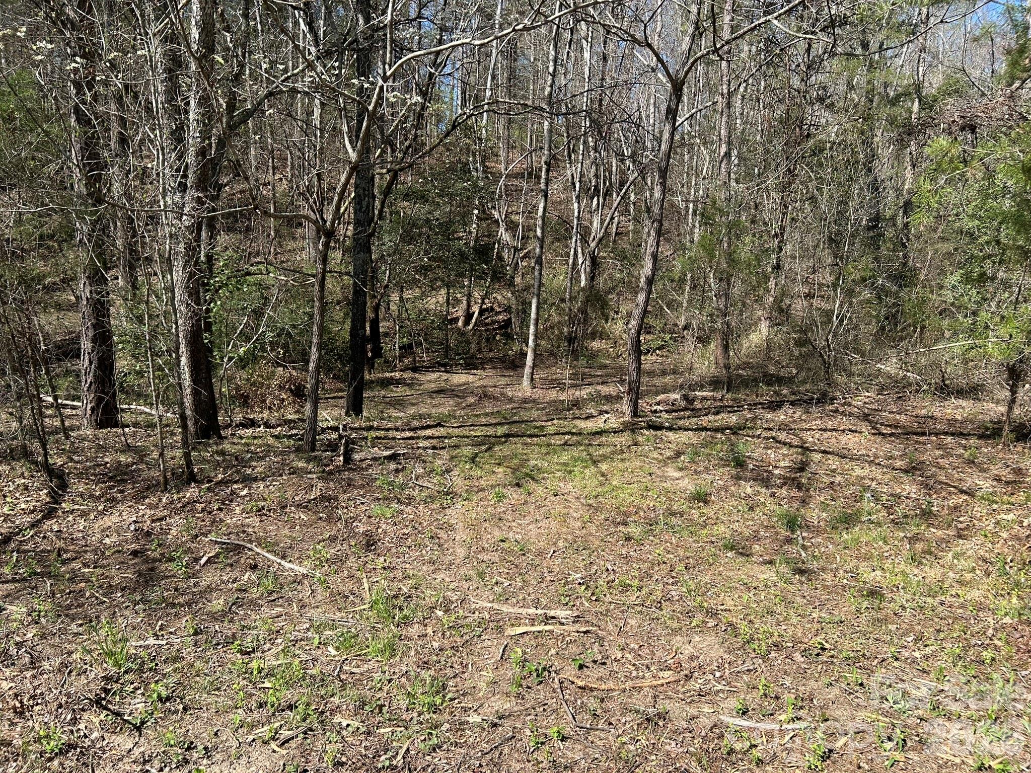 0 Island Ford Road Mooresboro, NC 28114 - Photo 27 of 32