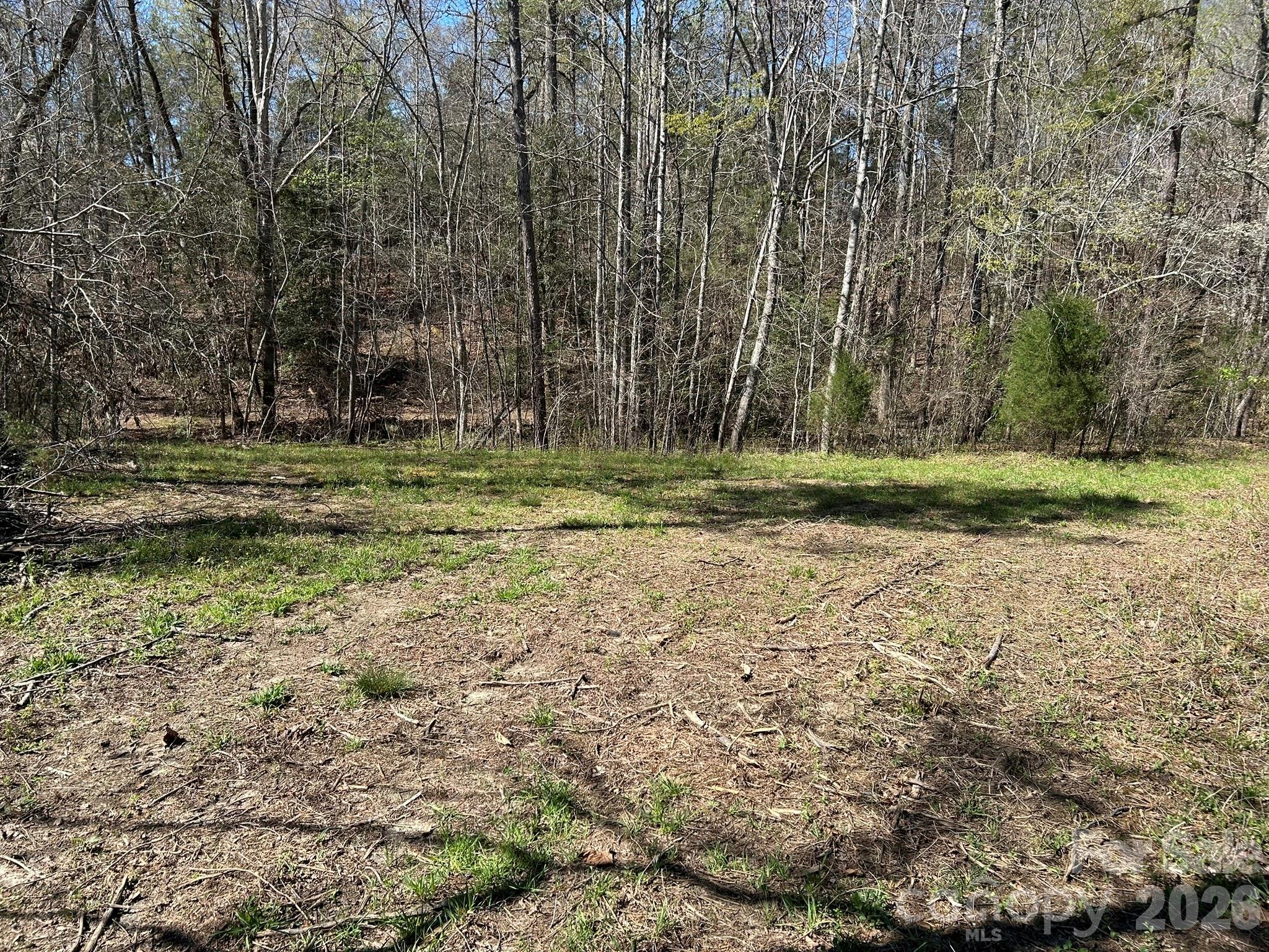 0 Island Ford Road Mooresboro, NC 28114 - Photo 28 of 32