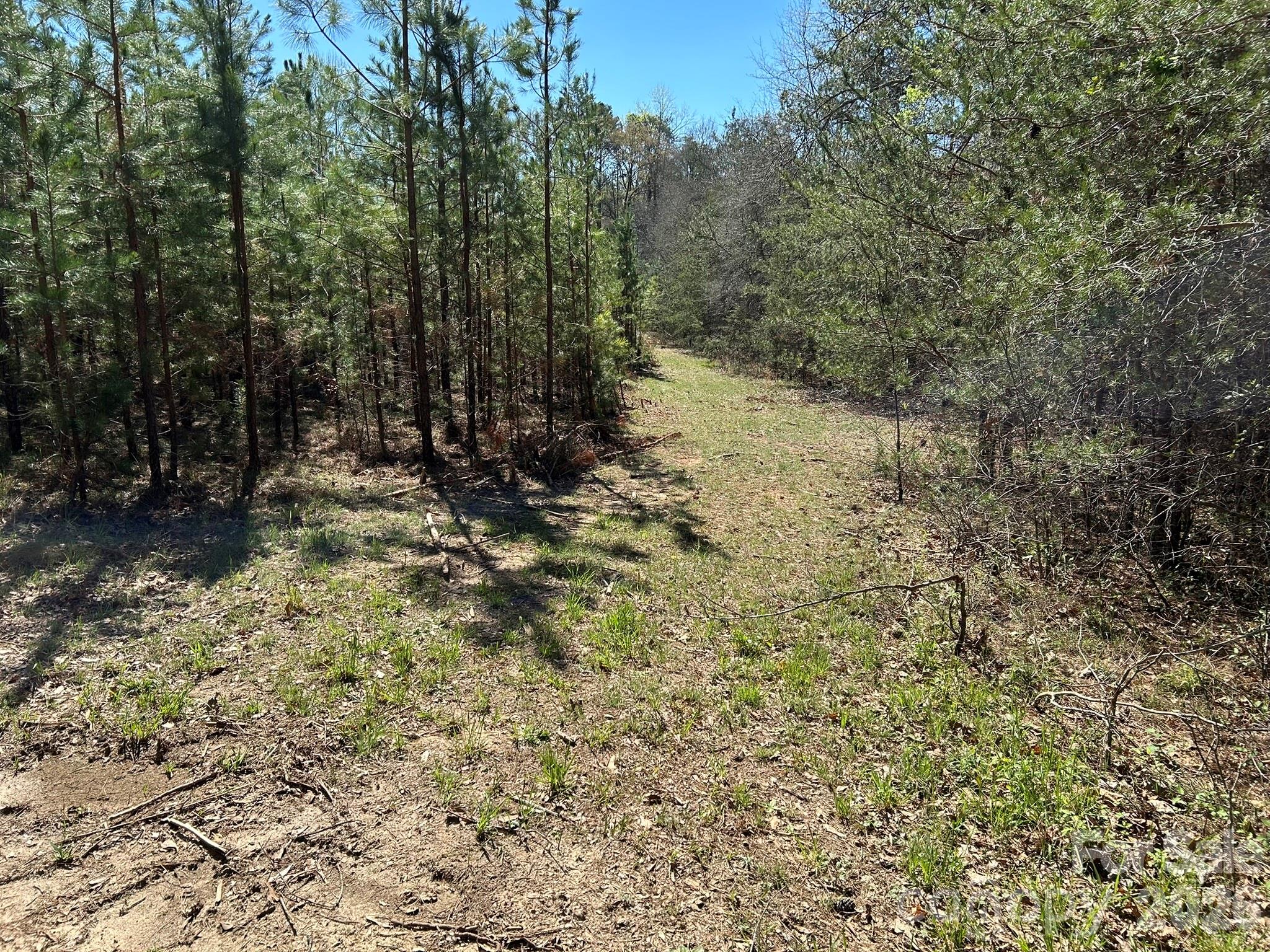 0 Island Ford Road Mooresboro, NC 28114 - Photo 30 of 32