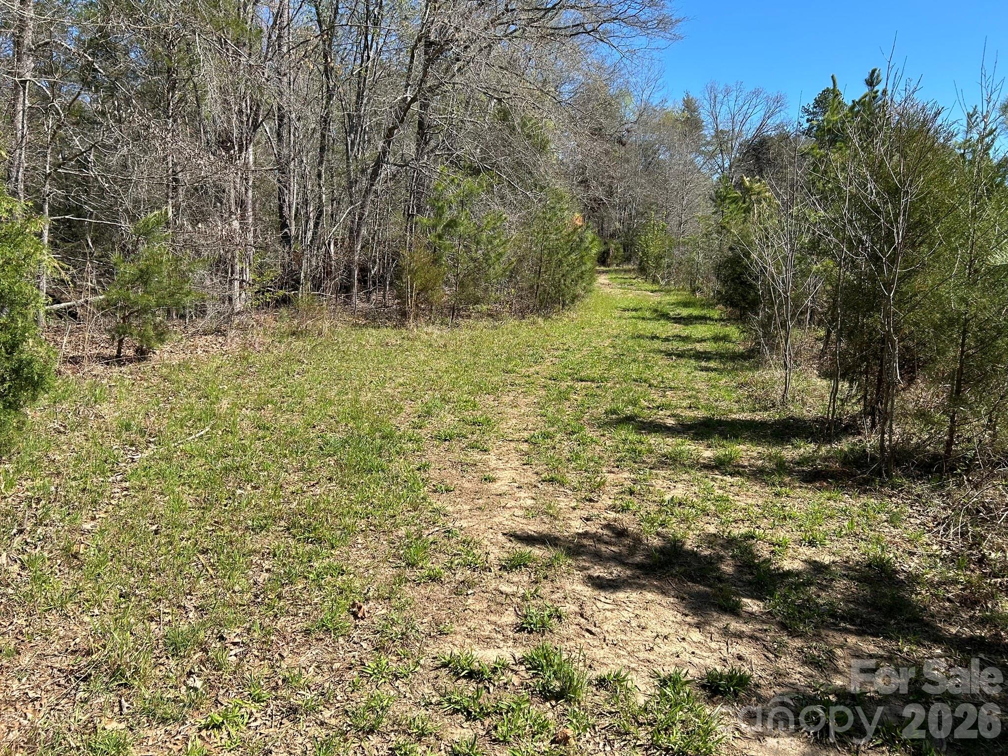 0 Island Ford Road Mooresboro, NC 28114 - Photo 31 of 32