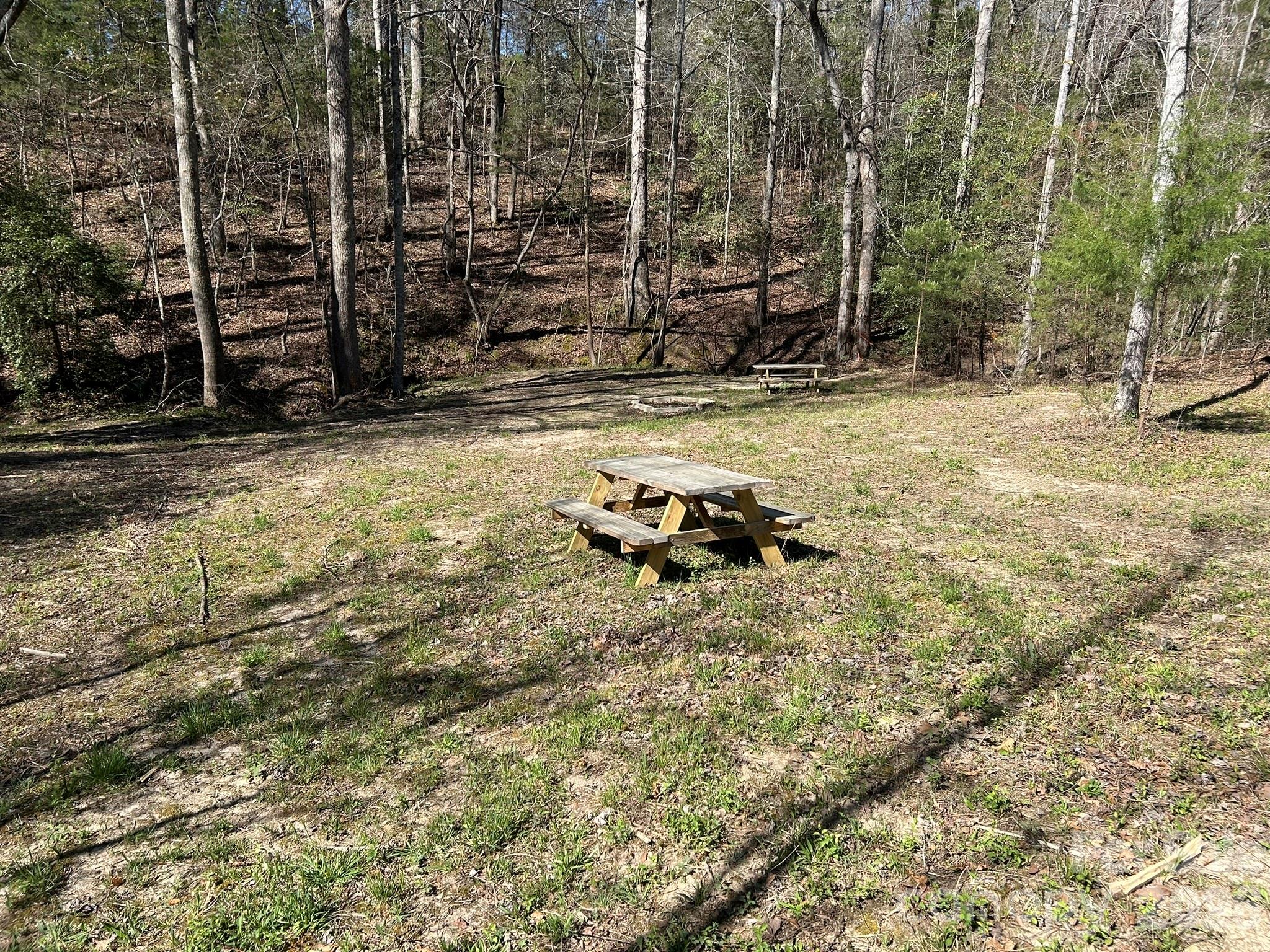 0 Island Ford Road Mooresboro, NC 28114 - Photo 4 of 32