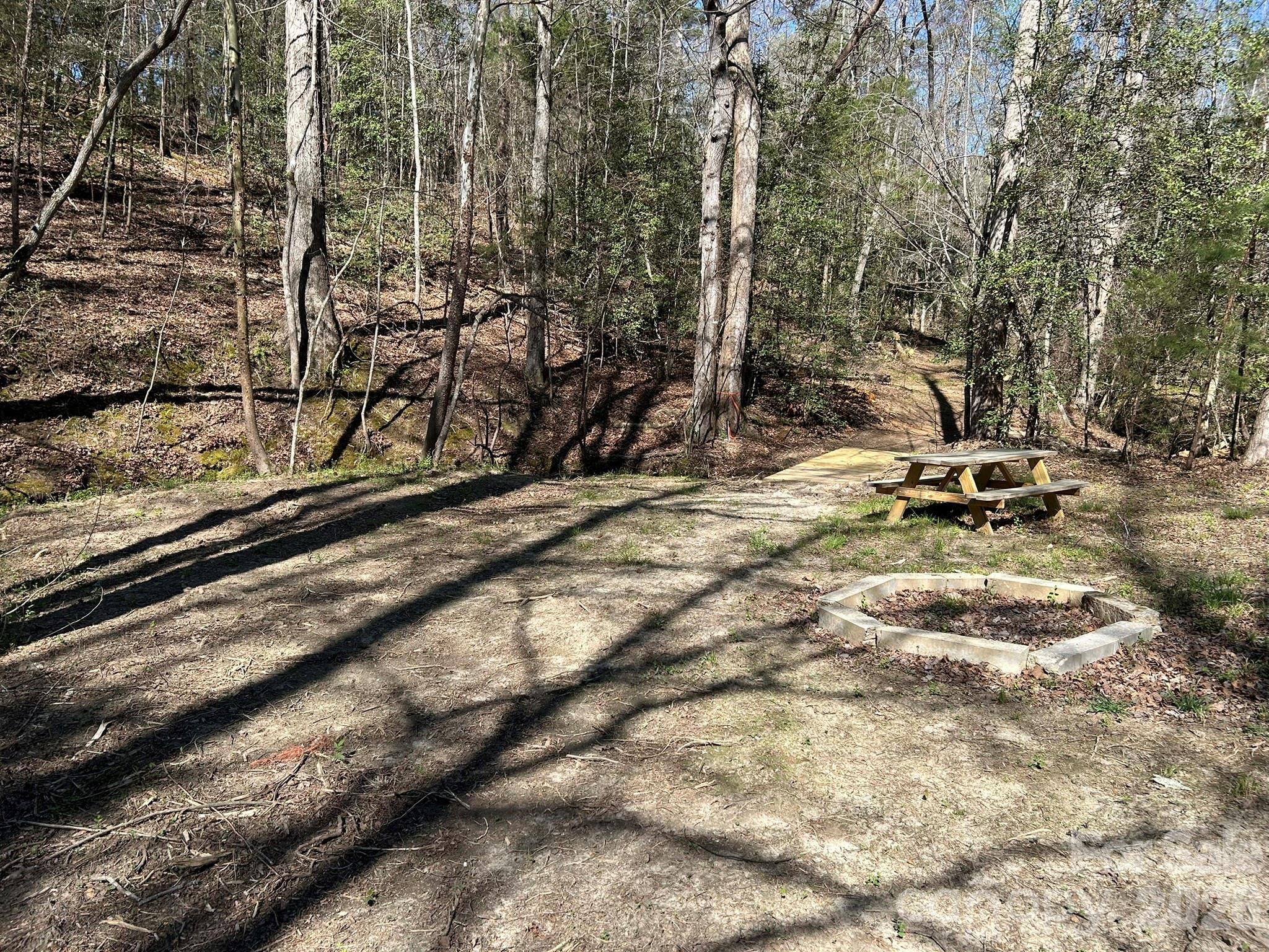 0 Island Ford Road Mooresboro, NC 28114 - Photo 6 of 32