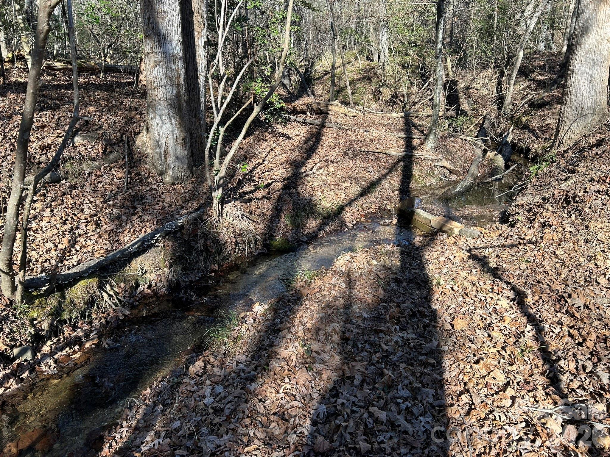 0 Island Ford Road Mooresboro, NC 28114 - Photo 7 of 32