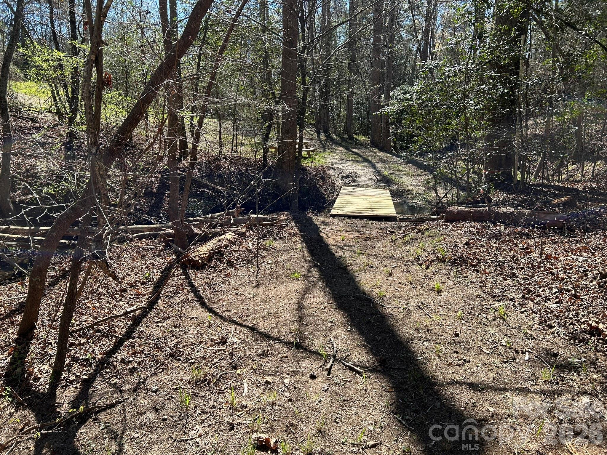 0 Island Ford Road Mooresboro, NC 28114 - Photo 8 of 32