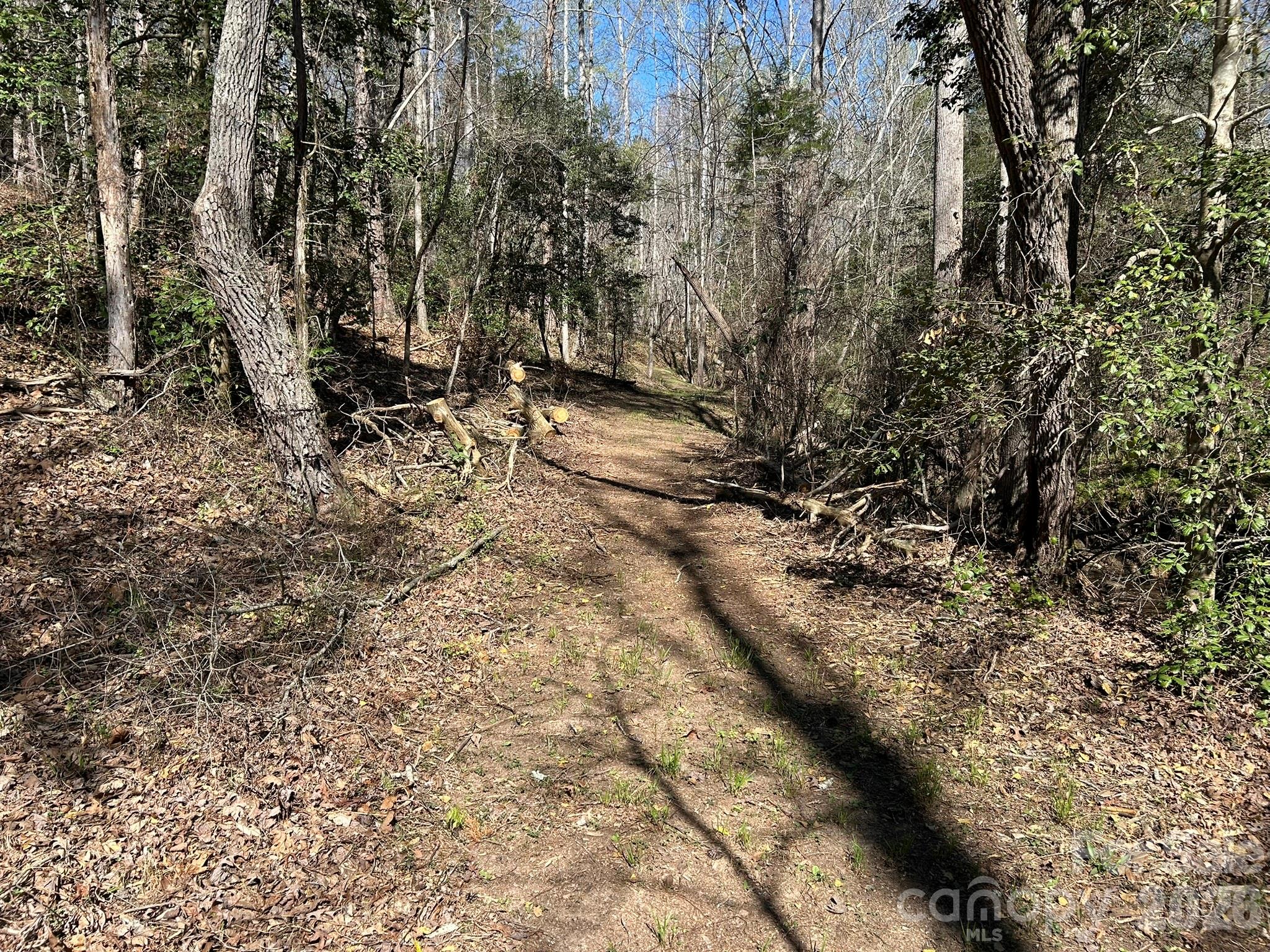 0 Island Ford Road Mooresboro, NC 28114 - Photo 9 of 32