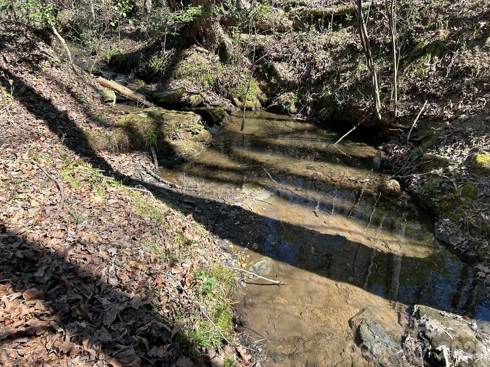 0 Island Ford Road Mooresboro, NC 28114 - Photo 10 of 32