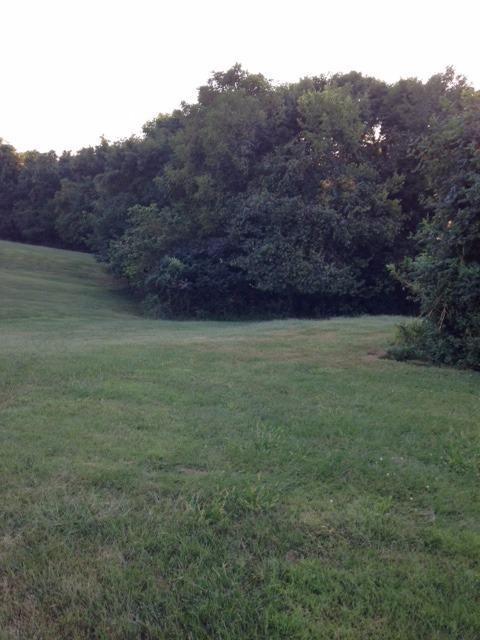 100 Saddlebrook Road Dry Ridge, KY 41035 - Photo 17 of 28