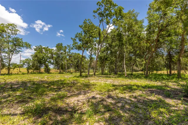 $575,000 | Tbd Lynn Road, Bellville, TX 77418