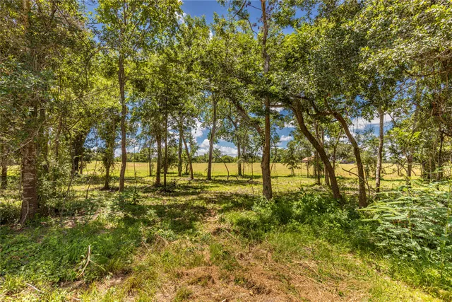 $575,000 | Tbd Lynn Road, Bellville, TX 77418