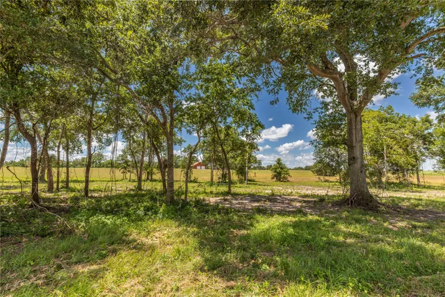 $575,000 | Tbd Lynn Road, Bellville, TX 77418