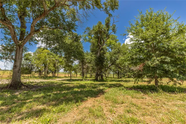 $575,000 | Tbd Lynn Road, Bellville, TX 77418