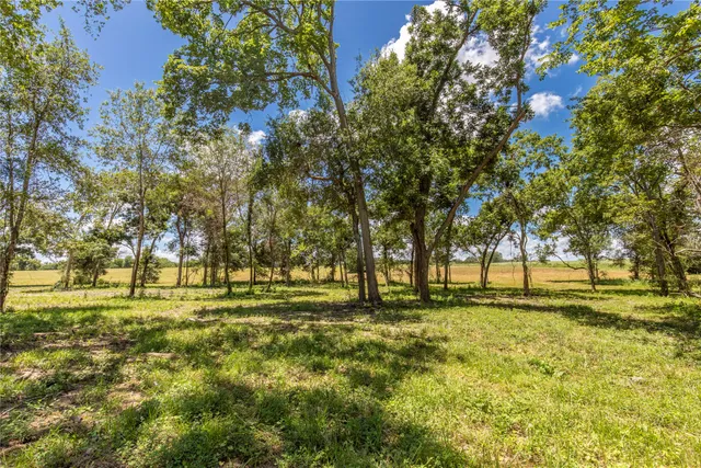$575,000 | Tbd Lynn Road, Bellville, TX 77418