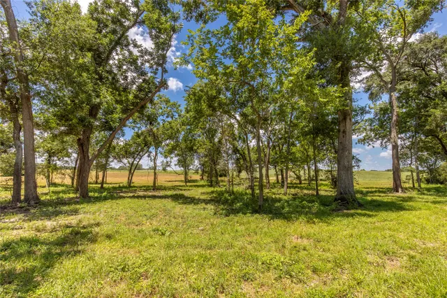 $575,000 | Tbd Lynn Road, Bellville, TX 77418
