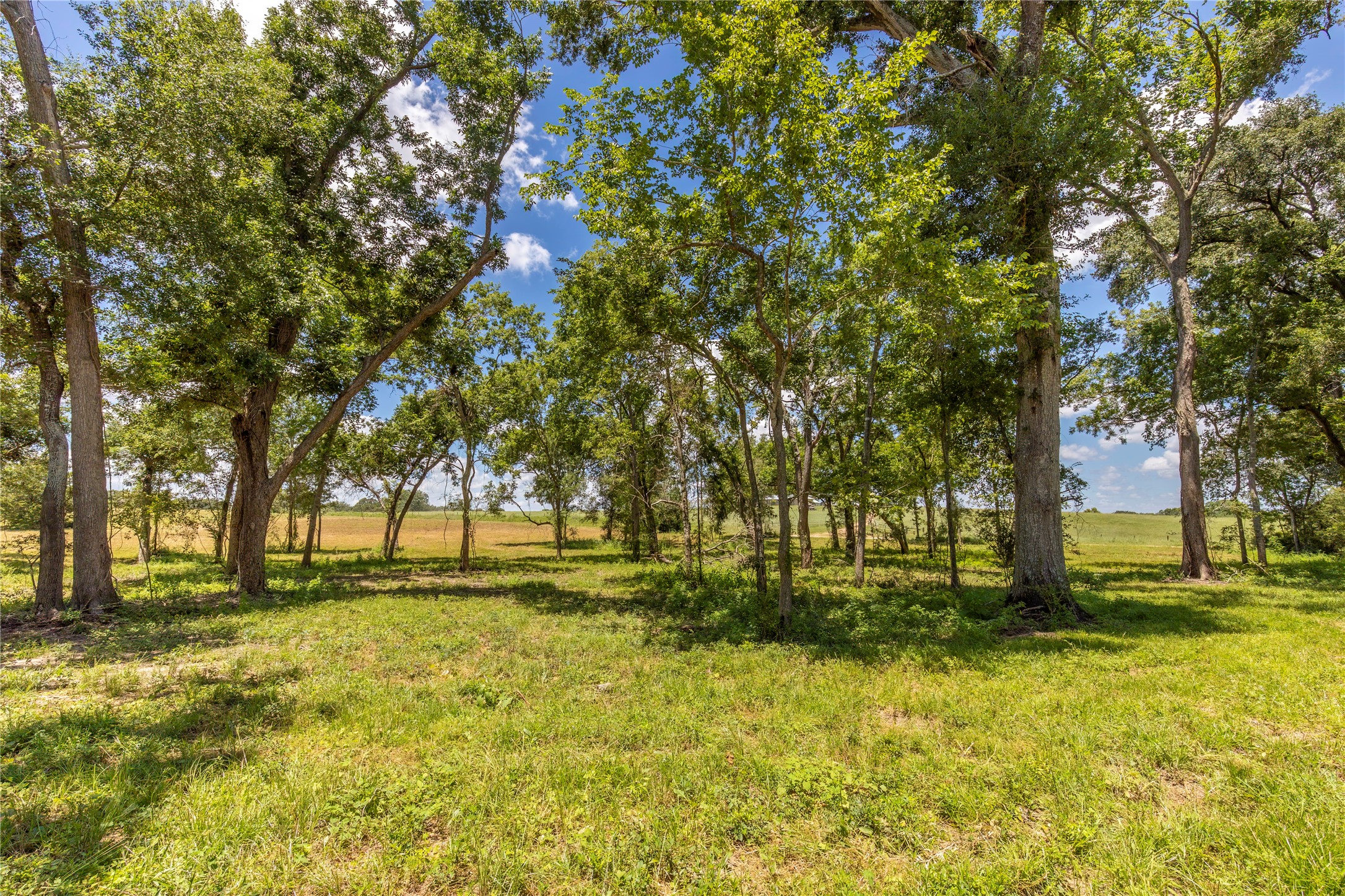 Tbd Lynn Road Bellville, TX 77418 - Photo 3 of 21 a view of yard with green space