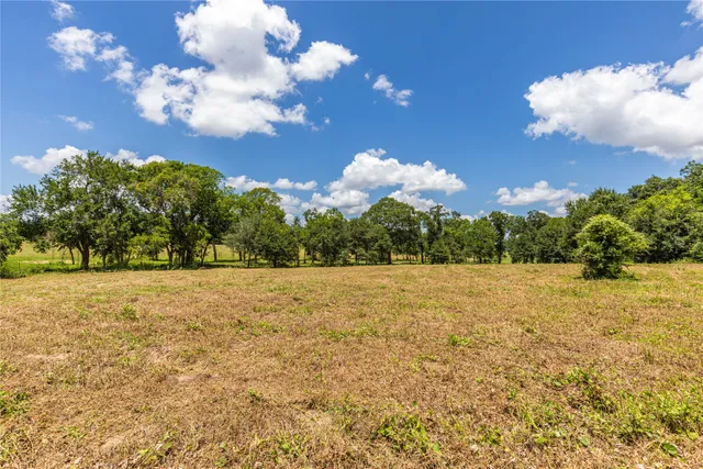 $575,000 | Tbd Lynn Road, Bellville, TX 77418