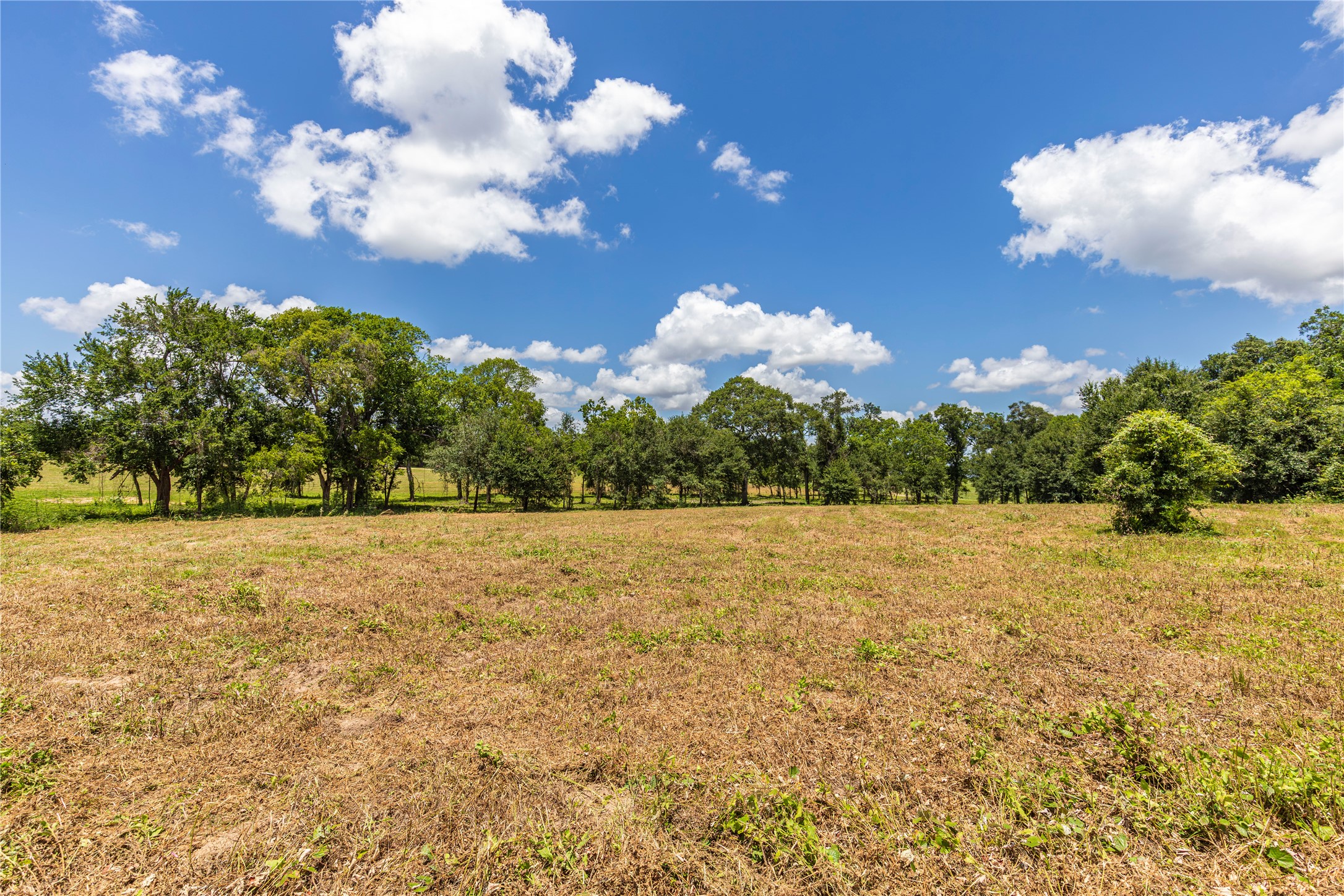 Tbd Lynn Road Bellville, TX 77418 - Photo 5 of 21 a view of a big yard