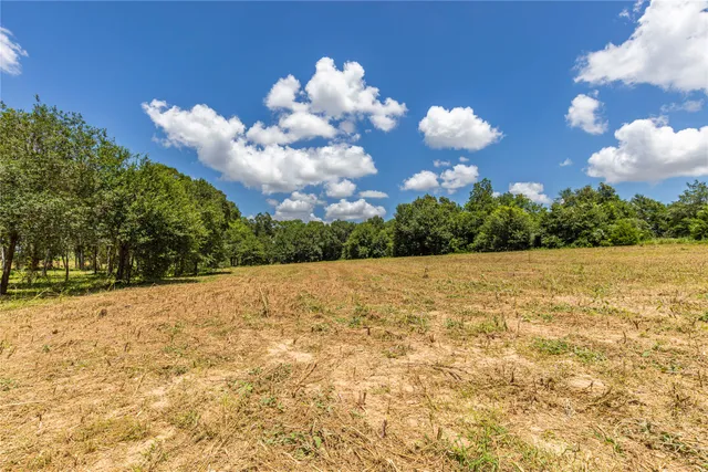 $575,000 | Tbd Lynn Road, Bellville, TX 77418