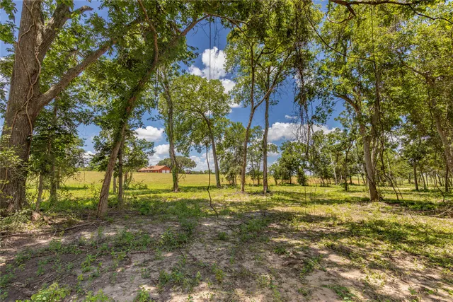 $575,000 | Tbd Lynn Road, Bellville, TX 77418