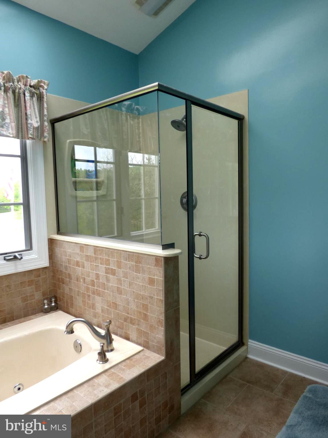 3330 Oranda Road Strasburg, VA 22657 - Photo 25 of 43 Spacious shower in Master bath