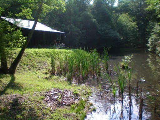 287 Mason Road Tellico Plains, TN 37385 - Photo 1 of 12 Primary Photo
