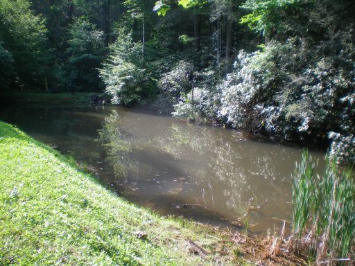 287 Mason Road Tellico Plains, TN 37385 - Photo 3 of 12 Additional Photo