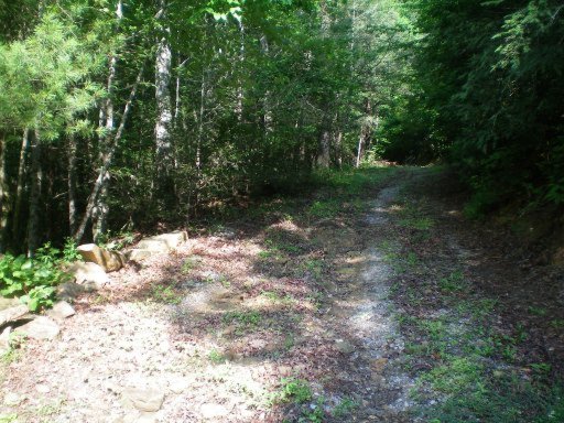 287 Mason Road Tellico Plains, TN 37385 - Photo 7 of 12 Additional Photo
